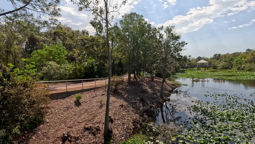 footage of a gorgeous landscape at the Florida Botanical Gardens with a lake surrounded by lush green trees and plants in Largo Florida USA