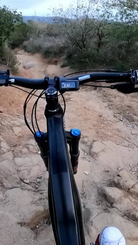 Vertical. POV of unrecognizable mountain biker male downhill riding fast on irregular rocky path in bush. Point of view behind handlebars of adventurous cyclist doing extreme risky sports in summer 