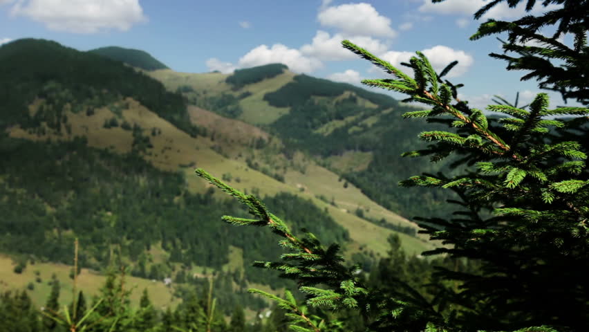 Summer. Carpathian mountains. Sunny weather. Clouds quickly run through the blue