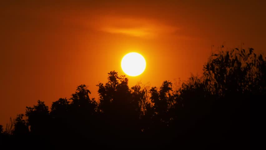 Sunset over silhouettes of trees in Peru, golden hour light creating a warm atmosphere, timelapse