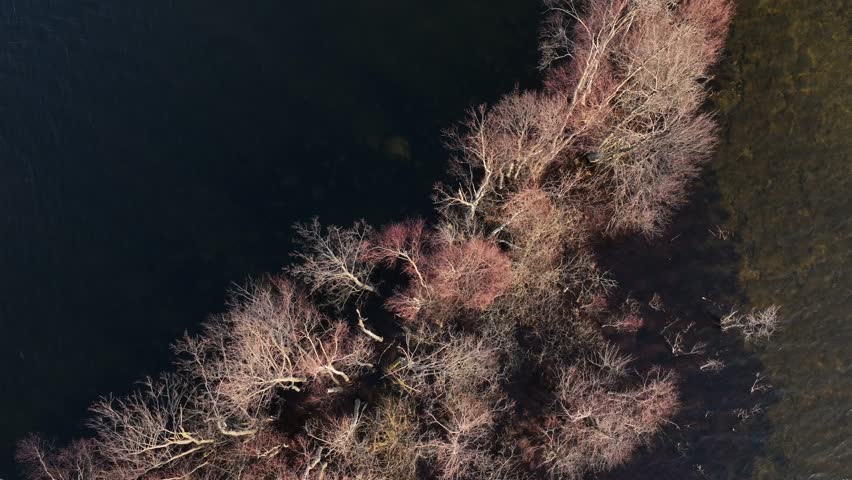 Top down view of an island submerged in Lake Karujärv due to high water levels in Saaremaa, Estonia.