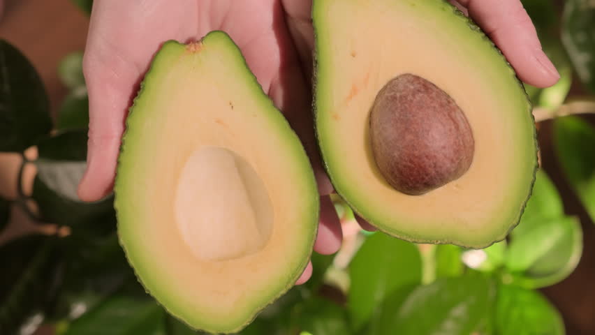Hands open green avocado into two halves close-up