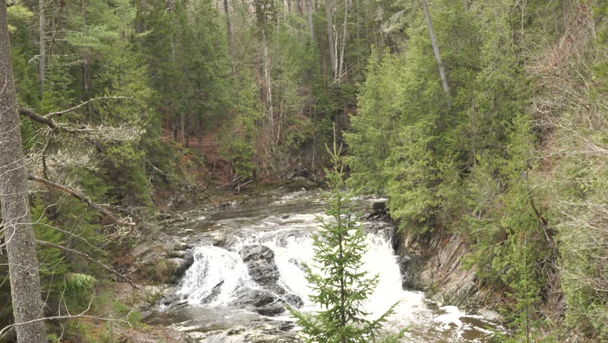 A massive waterfall with super-powerful force flows for eternity. Surrounding it is a forest of conifers and several leafless trees.