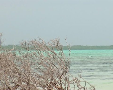 PAL: Sailboat, beach and mangrove