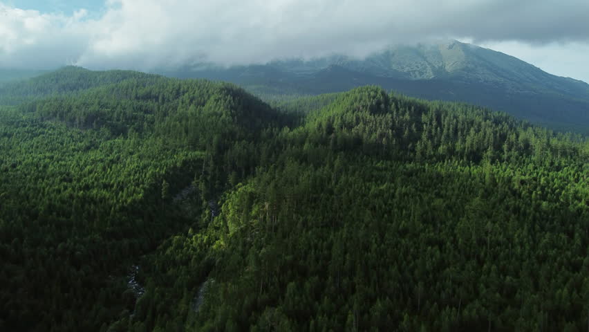 Beautiful summer landscape with forest in High Tatras mountains, aerial view, Slovakia, 4k