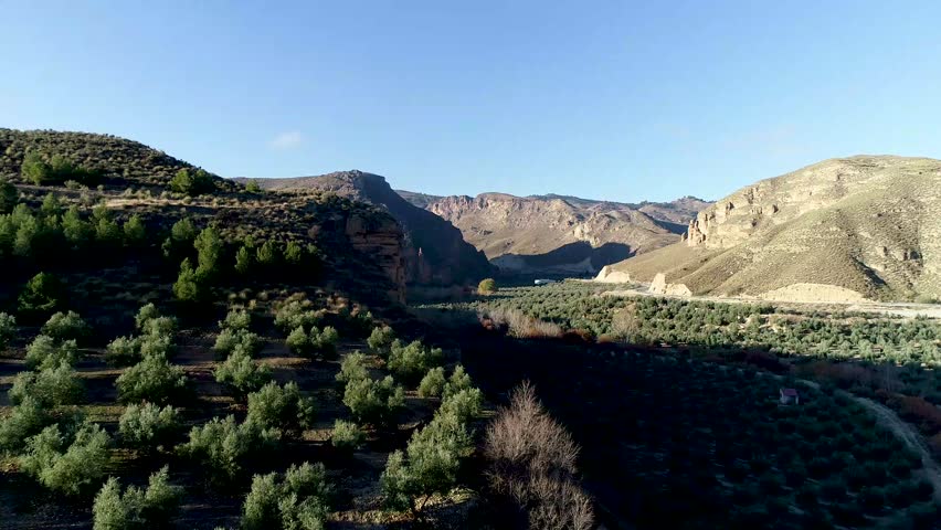 Scenic landscape of a rural valley with olive trees and hills