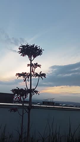 SKY GRADUALLY TURNS DARK AFTER SUNSET