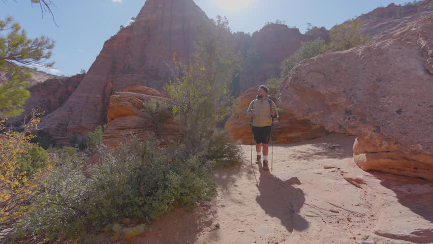 A determined traveler embarks on an exhilarating hike in Zion National Park, surrounded by breathtaking landscapes and towering rock formations, creating an unforgettable experience