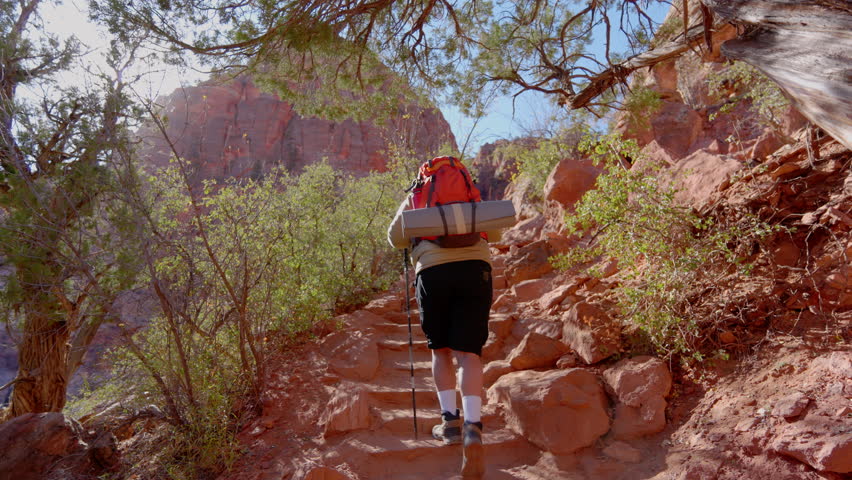 An eager traveler enthusiastically sets off on an exhilarating hike in Zion National Park, showcasing the breathtaking beauty of nature and the thrilling adventure that awaits them along the way