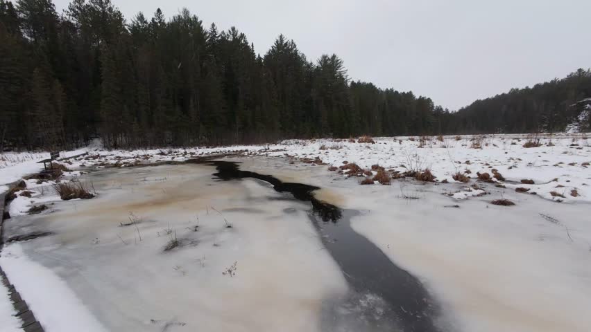 A winter lowland bog covered in ice and snow, with forest in the background under misty sky in Algonquin Park, Ontario, Canada