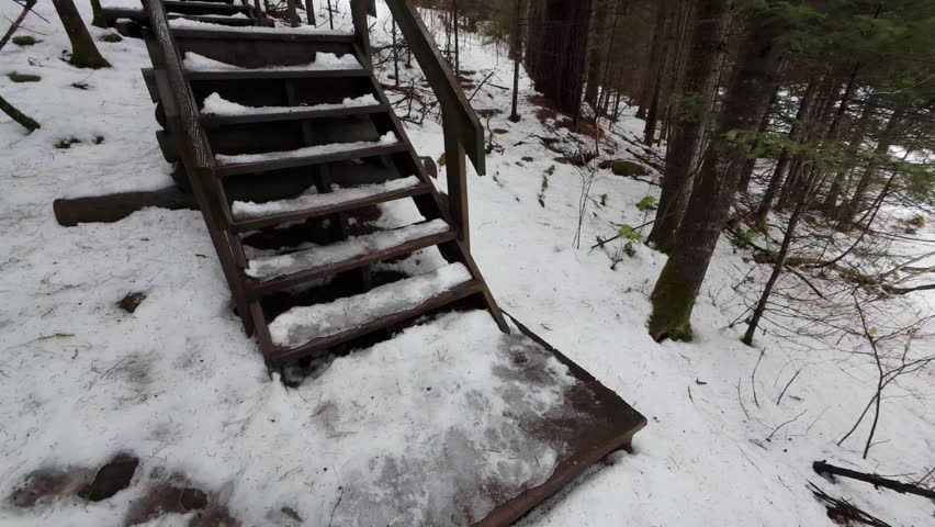 A walk on wooden stair-ups in a snowy forest