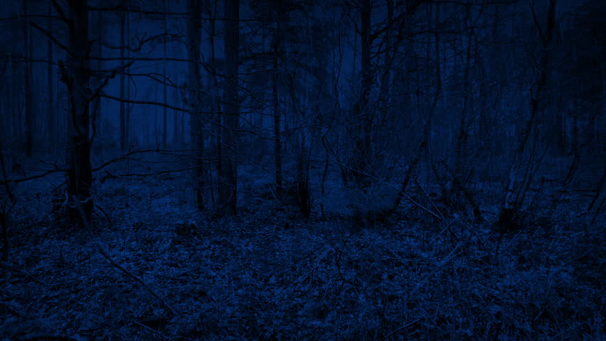 Moving Past Woodland On Rainy Night