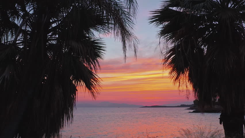 Island travel landscape. Palmtree by sea shore