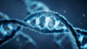 Damaged DNA Strand with Highlighted Section - Mutation, Genetic Defect, Disease, Science, Biotechnology, 3D Animation - Close-Up - Powered by Shutterstock - Get 15% off with code: PIKWIZARD15