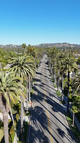 A beautiful palm tree-lined street stretching beautifully under a clear blue sky in vibrant California