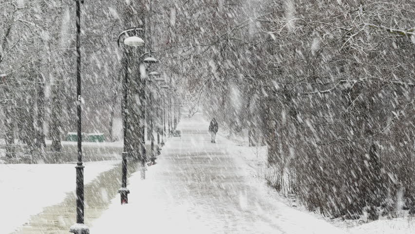 The winter fairy tale in the forest, snow-covered tree branches, large flakes of snow are slowly falling, snow storm, blizzard, the heavy snowfall in a wild park, walking people