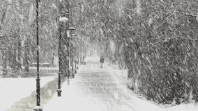 The winter fairy tale in the forest, snow-covered tree branches, large flakes of snow are slowly falling, snow storm, blizzard, the heavy snowfall in a wild park, walking people - Powered by Shutterstock - Get 15% off with code: PIKWIZARD15