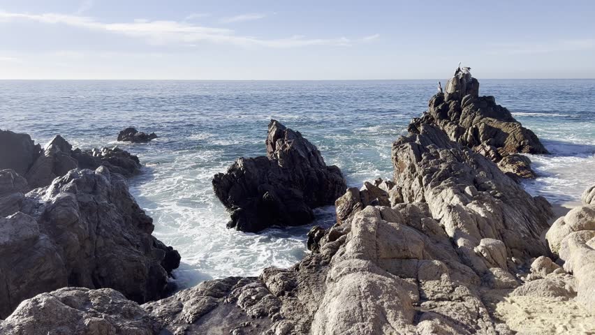 Waves crashing against rocks on a beach in Los Cabos, Mexico while a pelican perches on the rocks.