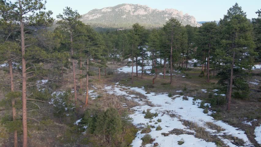 Aerial drone view of the Pike National Forest and Long Scraggy Mountain. Movement from the trees to reveal distant rocky peak. Filmed in the Rocky Mountains of Colorado.