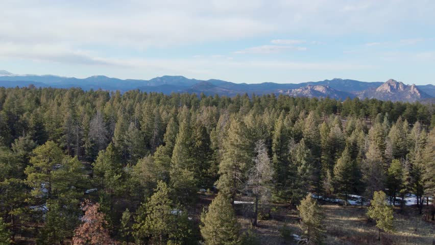 Aerial drone view of the Pike National Forest and distant rocky skyline. Forward dolly movement, just over the tree tops. Filmed in the Rocky Mountains of Colorado.