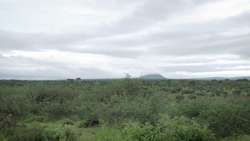 Early morning Cloudy Mount Kilimanjaro Sky Time lapse