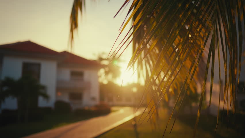 Beautiful summer day, view on bright sun and houses through palm leaves. Calm city district, architecture of outskirts, cottage settlement on sea coastline, resort area in south, tropical garden