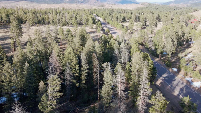 Aerial drone view of the Pike National Forest and a vehicle driving along a remote highway. Forward dolly movement tracking the vehicle. Filmed in the Rocky Mountains of Colorado.