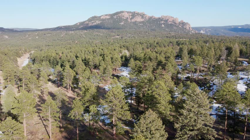 Aerial drone view of the Pike National Forest and Long Scraggy Mountain. Dolly movement to the rear. Filmed in the Rocky Mountains of Colorado.