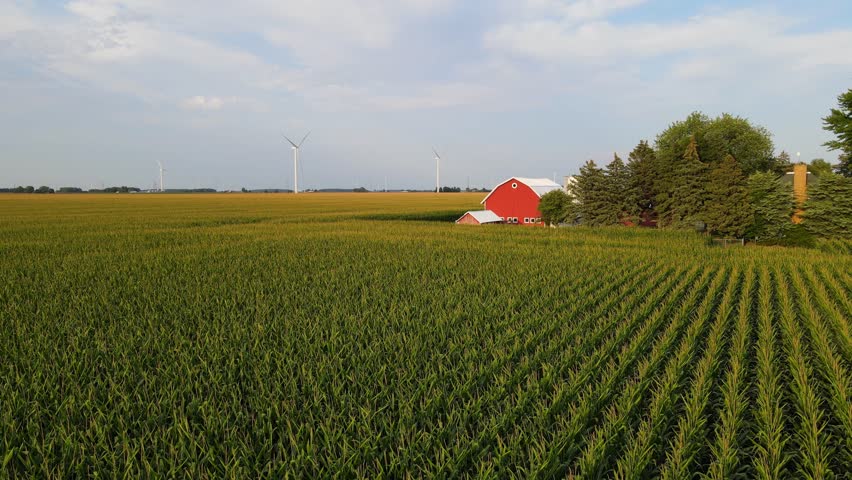 Traditional farm with a red barn and surround by corn field with wind turbines in the background