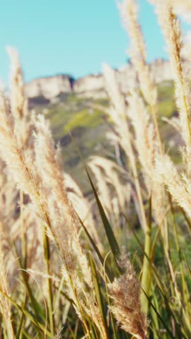 Outdoor Picnic On The Meadow In Spring In Sunny Nature