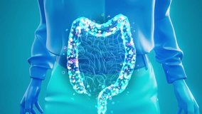 Conceptual animation of the gut microbiome - Powered by Shutterstock - Get 15% off with code: PIKWIZARD15
