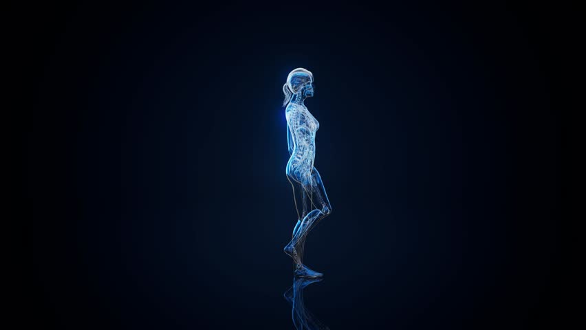 Conceptual animation of the gut microbiome