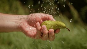 Rinsing green pear under fresh running water. Hand securely holding ripe fruit as water droplets cascade down its surface. Outdoor setting highlights vibrant freshness - Powered by Shutterstock - Get 15% off with code: PIKWIZARD15
