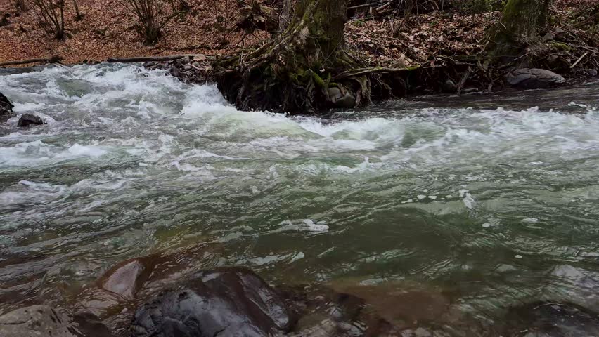 Full-flowing seething stream in a mountain spring forest