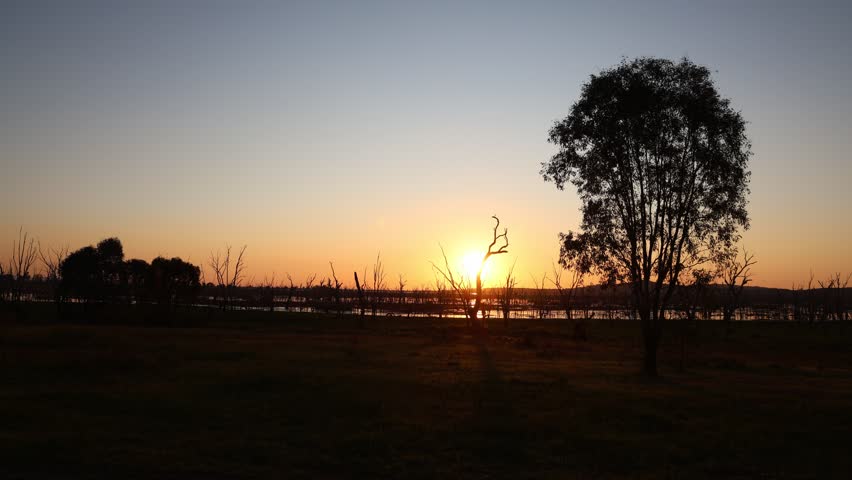 Silhouette timelapse sunset at Winton Wetlands, a wetland with stump woods that is home to variety of native flora and fauna in Victoria, Australia.