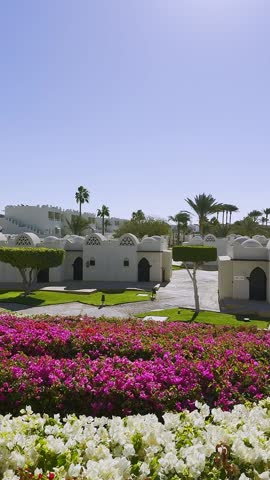 Panoramic video view of a Luxury hotel resort from the nice terrace with palm trees, flower beds and gardens, oriental architecture. Sunny vacations in Egypt