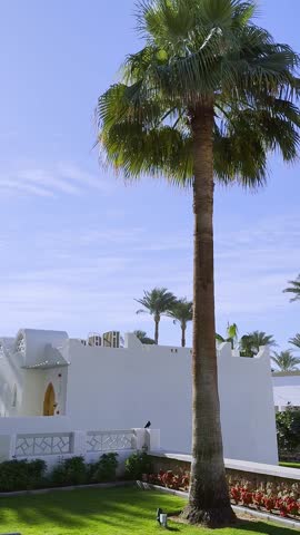 Panoramic video view of a Luxury hotel resort from the nice terrace with palm trees, mountains, oriental architecture. Sunny vacations in Egypt