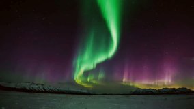 The Aurora Borealis, or Northern Lights, appear in the night sky in glowing green and purple colors. These aurora are caused by charged particles from the sun colliding with the Earth's magnetic field - Powered by Shutterstock - Get 15% off with code: PIKWIZARD15