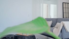 A stylish gray fabric sofa with textured pillows and a soft cream throw, set in a bright modern living room with a black framed mirror, minimalist decor, and a neutral palette. - Powered by Shutterstock - Get 15% off with code: PIKWIZARD15