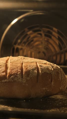 Organic fresh bread. Homemade organic dough bread in kitchen oven. Making bread and eco production. Vertical video. Slider dolly shot. Sourdough bread being baked in oven. Close-up in 4K, UHD