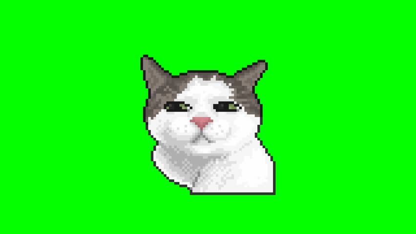 Thoughtful cat, pixel art meme animation 