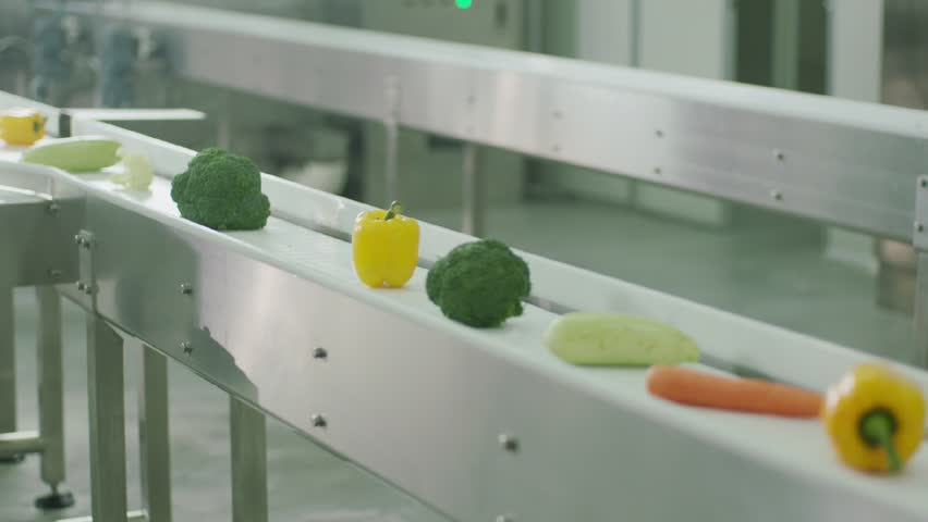 Fresh vegetables, including broccoli, bell pepper, zucchini, and carrots, move along a conveyor belt in a food processing facility, ensuring quality control and automation in production.