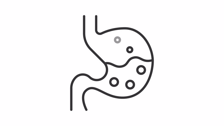 Probiotics line animation. Digestion animated icon. Moving bubbles. Complete mark showing up. Stomach, organ. Black illustration on white background. HD video with alpha channel. Motion graphic