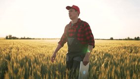 Focused farmer using tablet in wheat field at sunset. Digital farming improves efficiency. Tablet technology helps farmer analyze soil and optimize wheat production under the warm glow of sunset. - Powered by Shutterstock - Get 15% off with code: PIKWIZARD15