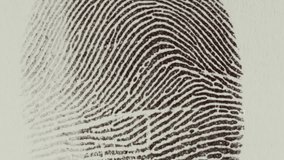 Scanning fingerprint Cyber database for forensic biometric match ANIMATION - Powered by Shutterstock - Get 15% off with code: PIKWIZARD15
