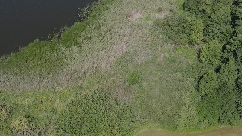 Biskupin: Proto-Slavic Settlement by the Lake - History, Archeology, Reconstruction, Drone Footage, Cinematic - Journey into the Past
