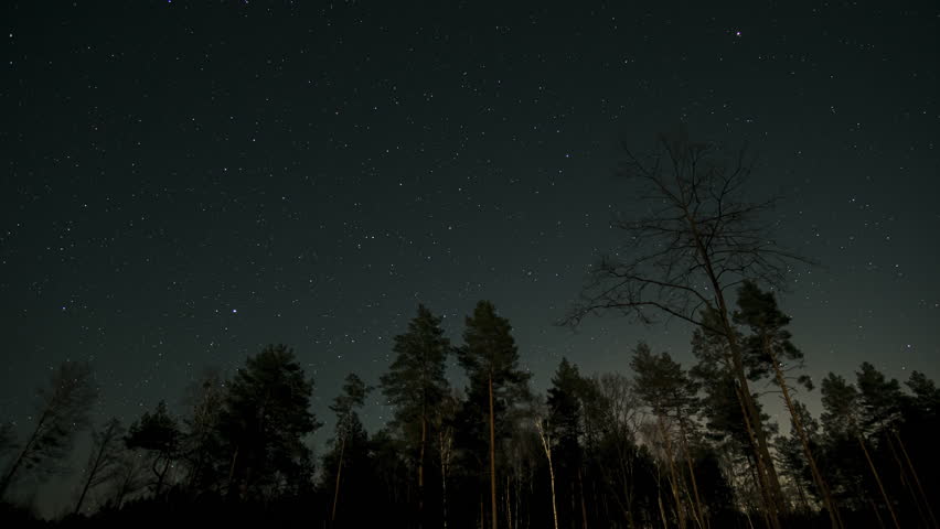 Time lapse of Starry Night Sky Over a Dark Forest, A breathtaking starry night sky above a dense forest with silhouetted trees.