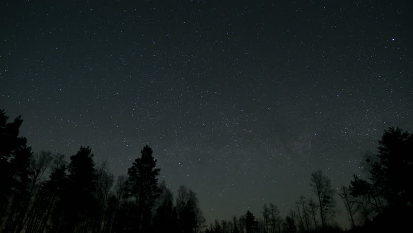 Starry Sky Over a Forest at Night, A vast starry sky shining over a dark forest, creating a peaceful night view. Time lapse