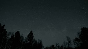 Starry Sky Over a Forest at Night, A vast starry sky shining over a dark forest, creating a peaceful night view. Time lapse - Powered by Shutterstock - Get 15% off with code: PIKWIZARD15
