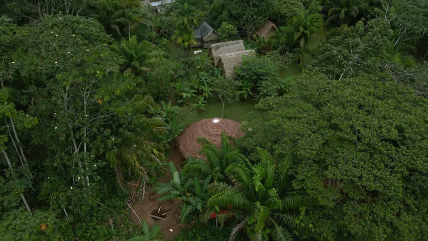 Indigenous community land huts houses Bolivia jungle rainforest Pilón Lajas Biosphere Reserve